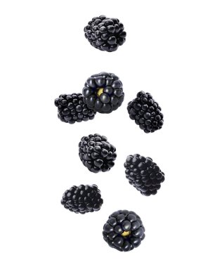 Beyaz arka planda taze böğürtlen