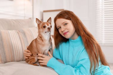 Evdeki kanepede sevimli Chihuahua köpeğiyle genç bir kız.