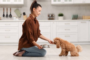 Gülümseyen sahibi, sevimli köpeğini mutfakta kuru hayvan mamasıyla besliyor.