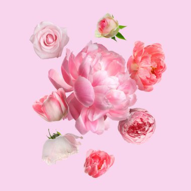 Pembe arka plana düşen güzel taze çiçekler