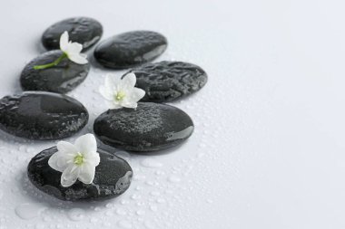 Islak spa taşları ve beyaz arka planda güzel çiçekler, yakın plan. Metin için boşluk
