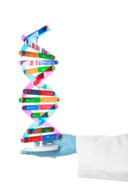 Beyaz arka planda DNA yapısına sahip bilim adamı, yakın plan