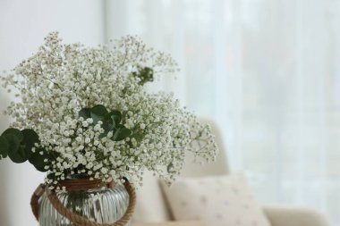 Evdeki vazoda güzel çikila çiçekleri ve okaliptüs dalları, yakın plan. Metin için boşluk