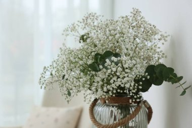 Evdeki vazoda güzel çikila çiçekleri ve okaliptüs dalları, yakın plan.