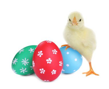 Beyaz arka planda güzel bir piliç ve parlak Paskalya yumurtaları.