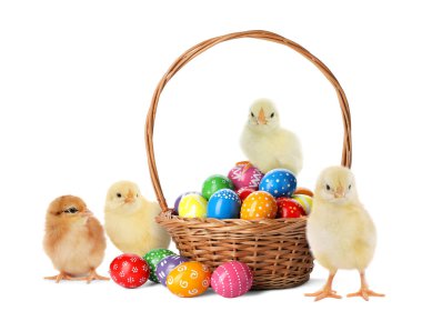 Güzel hatunlar ve beyaz arka planda parlak Paskalya yumurtaları.