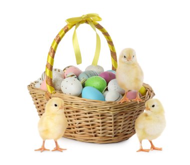 Güzel hatunlar ve beyaz arka planda parlak Paskalya yumurtaları.