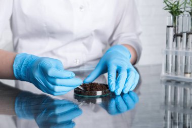 Laboratuvar testi. İçerideki masada toprak örneğiyle çalışan bilim adamı, yakın plan.