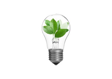 Light bulb with fresh leaves inside in air on white background. Concepts of eco-friendly environment and saving energy