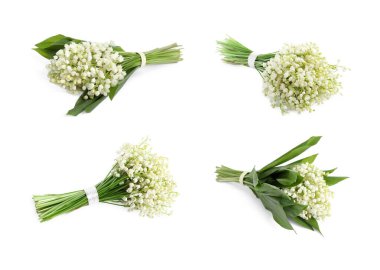 Vadideki güzel zambak buketleri beyaz sette izole edilmiş.