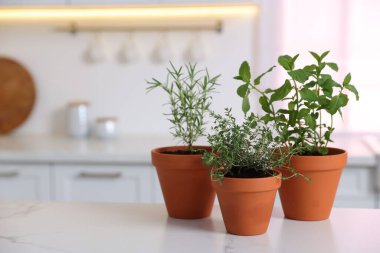 Mutfaktaki beyaz mermer tezgahta farklı aromatik otlar var. Metin için boşluk