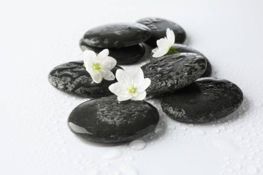 Islak spa taşları ve beyaz arka planda güzel çiçekler, yakın plan.