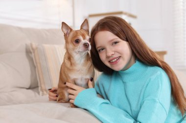 Evdeki kanepede sevimli Chihuahua köpeğiyle genç bir kız.