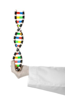 Beyaz arka planda DNA yapısına sahip bilim adamı, yakın plan