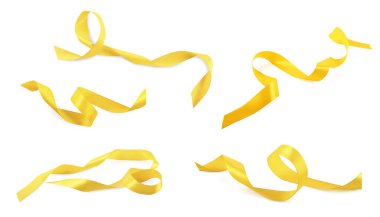 Güzel sarı kurdeleler beyaz sette izole edilmiş.