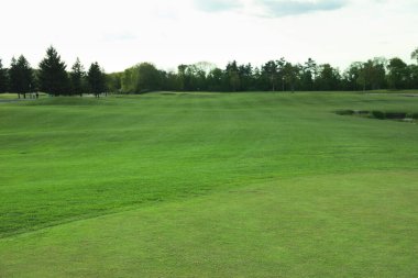 Güneşli bir günde güzel bir golf sahası manzarası.