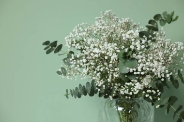 Turkuaz arka planda, vazoda güzel çikila çiçekleri ve okaliptüs dalları, yakın plan. Metin için boşluk