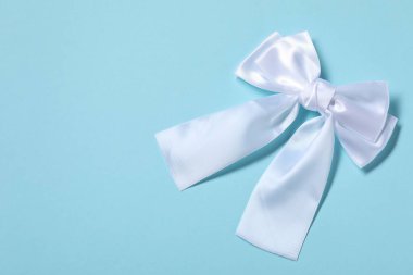 Açık mavi arka planda güzel saç fiyonku, üst manzara. Metin için boşluk