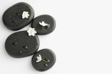 Islak spa taşları ve beyaz arka planda güzel çiçekler. Metin için boşluk