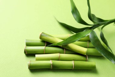 Açık yeşil arkaplanda bambu saplarını ve yapraklarını kes, yakın plan