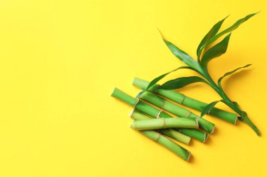 Sarı arka planda bambu sapları ve yapraklar kes, düz uzan. Metin için boşluk