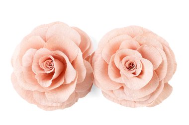 Güzel pembe kağıt çiçekler beyaz, üst manzara izole