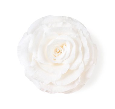 Güzel kağıt çiçek beyaz, üst manzara izole