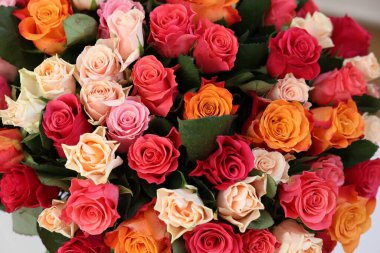 Arka plan olarak güzel güller, üst manzara