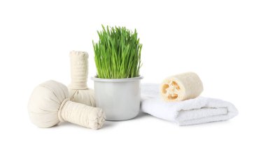 Spa composition with wheatgrass and herbal bags isolated on white
