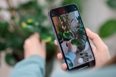 Ev bitkisi tanıma uygulamasını kullanan bir kadın kapalı alanda, yakın plan.