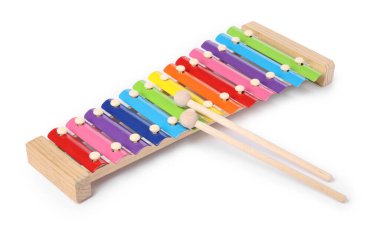 Renkli oyuncak ksilofon beyazda izole edilmiş. Çocukların müzik aleti.