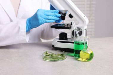 Biyokimya. Laboratuvarda, gri masada bitki ve sıvılarla çalışan bilim adamı.