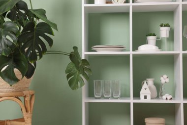 Shelving unit with dishware near olive wall indoors