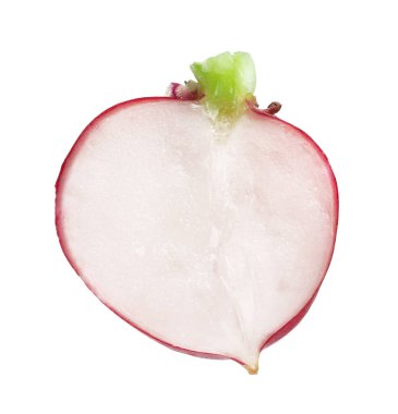 Taze olgun turp parçası beyaza izole edilmiş.