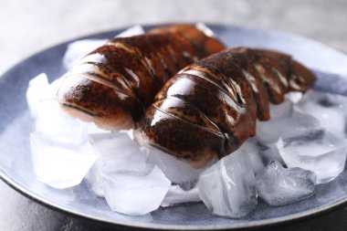 Masada buzlu çiğ ıstakoz kuyruğu, yakın plan.