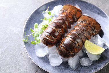 Çiğ ıstakoz kuyruğu, mikro yeşillikler, yeşil masada limon ve buz, yakın plan.