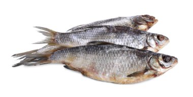 Beyaz üzerine izole edilmiş kurutulmuş tuzlanmış böcek balığı.