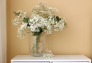 Bir buket güzel çikila çiçeği ve okaliptüs dalları bej duvarın yanındaki çekmecelerin üstündeki vazoda.