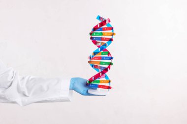Beyaz arka planda DNA yapısını tutan bilim adamı, yakın plan