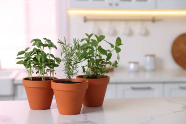 Mutfaktaki beyaz mermer tezgahta farklı aromatik otlar var. Metin için boşluk