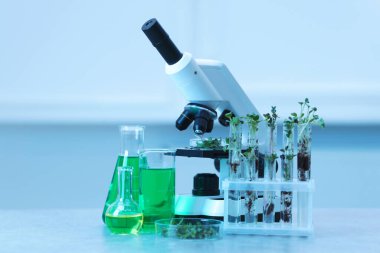 Biyokimya. Laboratuardaki açık gri masada farklı sıvılar, bitkiler ve mikroskop içeren cam eşyalar.