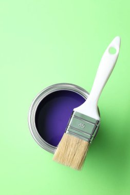 Açık yeşil zemin üzerinde mor boya ve fırça kutusu, üst görünüm