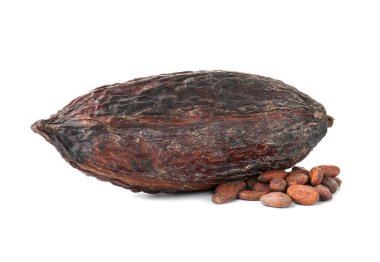Kakao kabuğu ve fasulyeler beyaz üzerine izole edilmiş.
