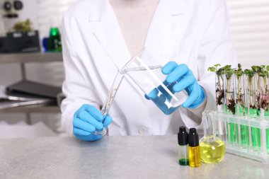 Biyokimya. Laboratuvarda, gri masada bitki ve sıvılarla çalışan bilim adamı.