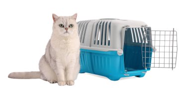 Sevimli kedi ve evcil hayvan taşıyıcısı beyaz üzerinde izole edilmiş.