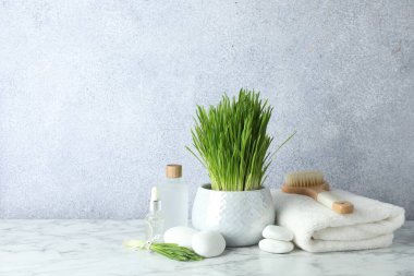 Spa composition with wheatgrass on white marble table. Space for text