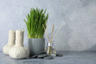 Gri masadaki buğday çimenli spa kompozisyonu. Metin için boşluk