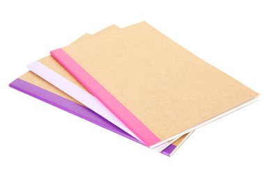 Different copybooks isolated on white. School stationery