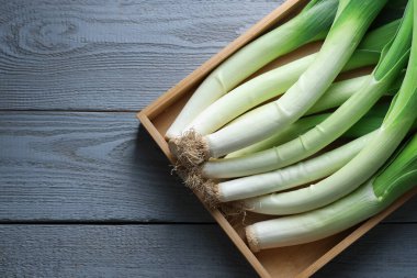 Gri ahşap masada taze pırasalar, üst manzara. Metin için boşluk