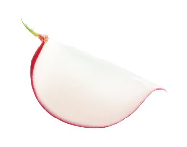 Taze olgun turp parçası beyaza izole edilmiş.